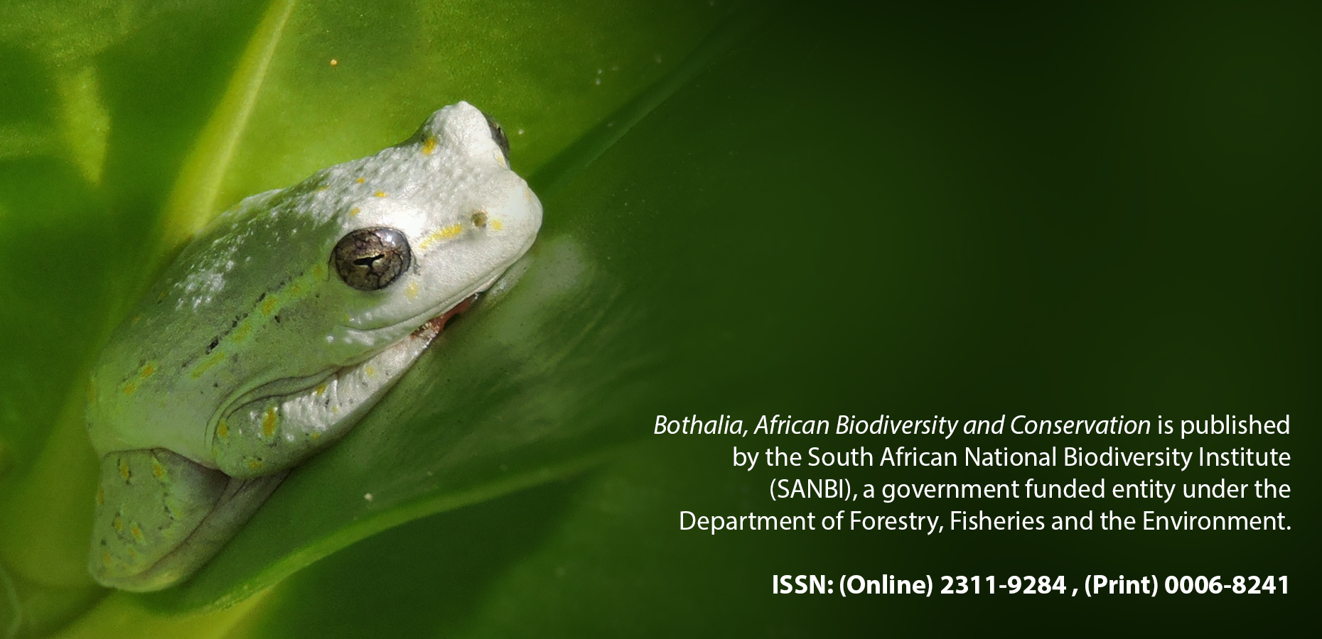 					View Vol. 54 No. 1 (2024): Bothalia - African Biodiversity & Conservation
				